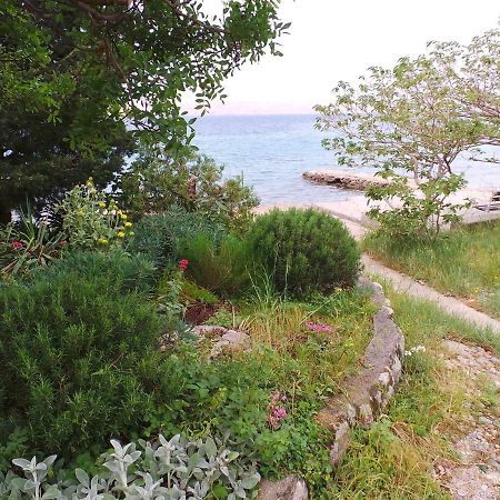 Apartmani Vjera Ribarica Dış mekan fotoğraf